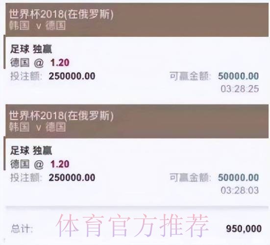 世界杯投注在线入口地址官方平台